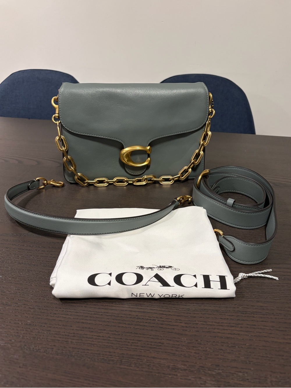 Coach Chain Tabby Shoulder Bag in Sage